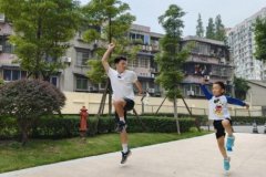 、丙、丁公司不服一审讯决